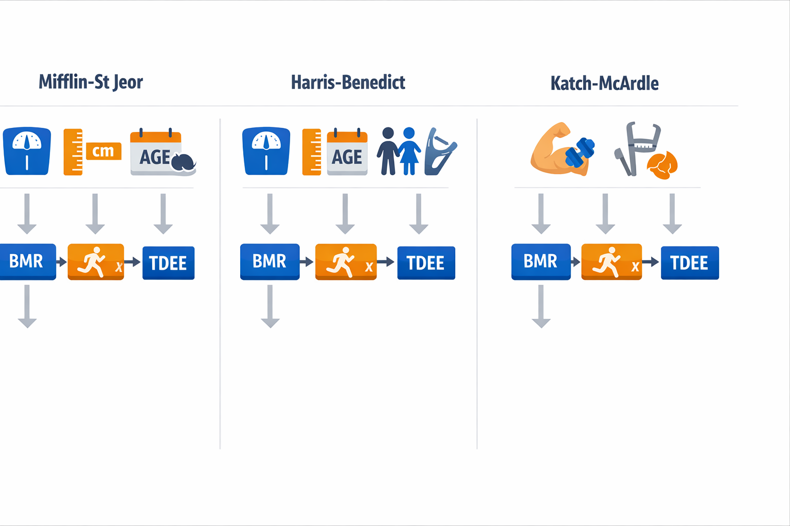 Diagram comparing three TDEE formulas: Mifflin-St Jeor, Harris-Benedict, and Katch-McArdle